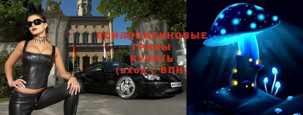 хмурый Костерёво