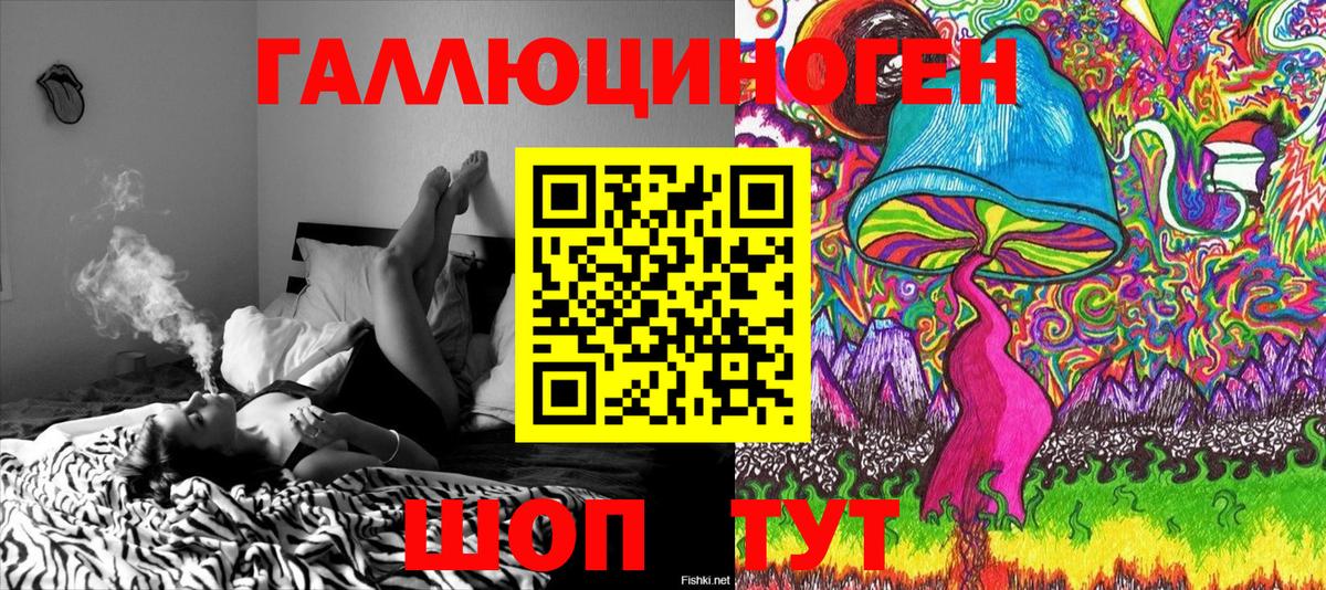 магазин  наркотиков  Лыткарино  Псилоцибиновые грибы GOLDEN TEACHER 