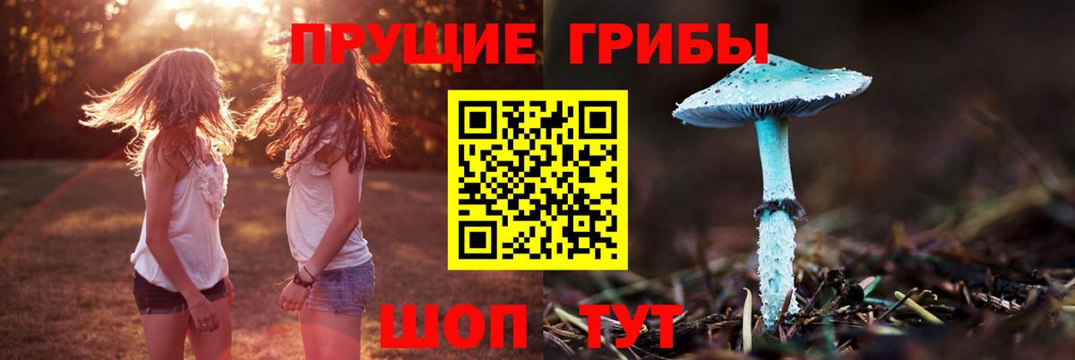 где купить наркотик  Галлюциногенные грибы ЛСД  Вход с VPN  Лыткарино 